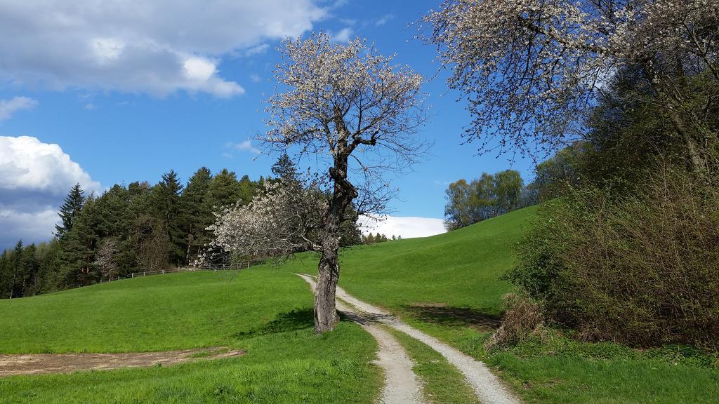 Residence La Planta Ortisei Kültér fotó